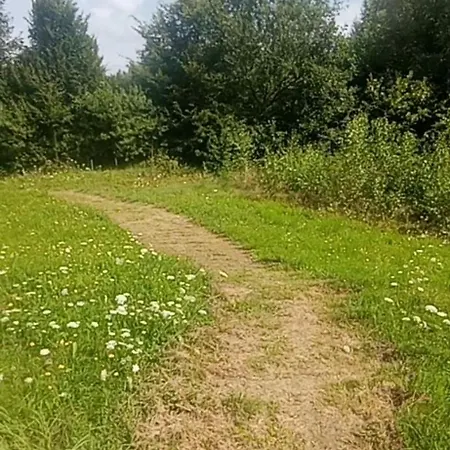 Pole Namiot Polwies